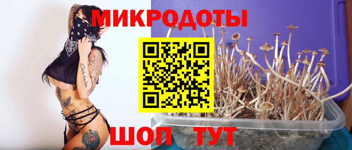 Псилоцибиновые грибы прущие грибы  купить   Выкса  Вход с VPN  Галлюциногенные грибы мухоморы 